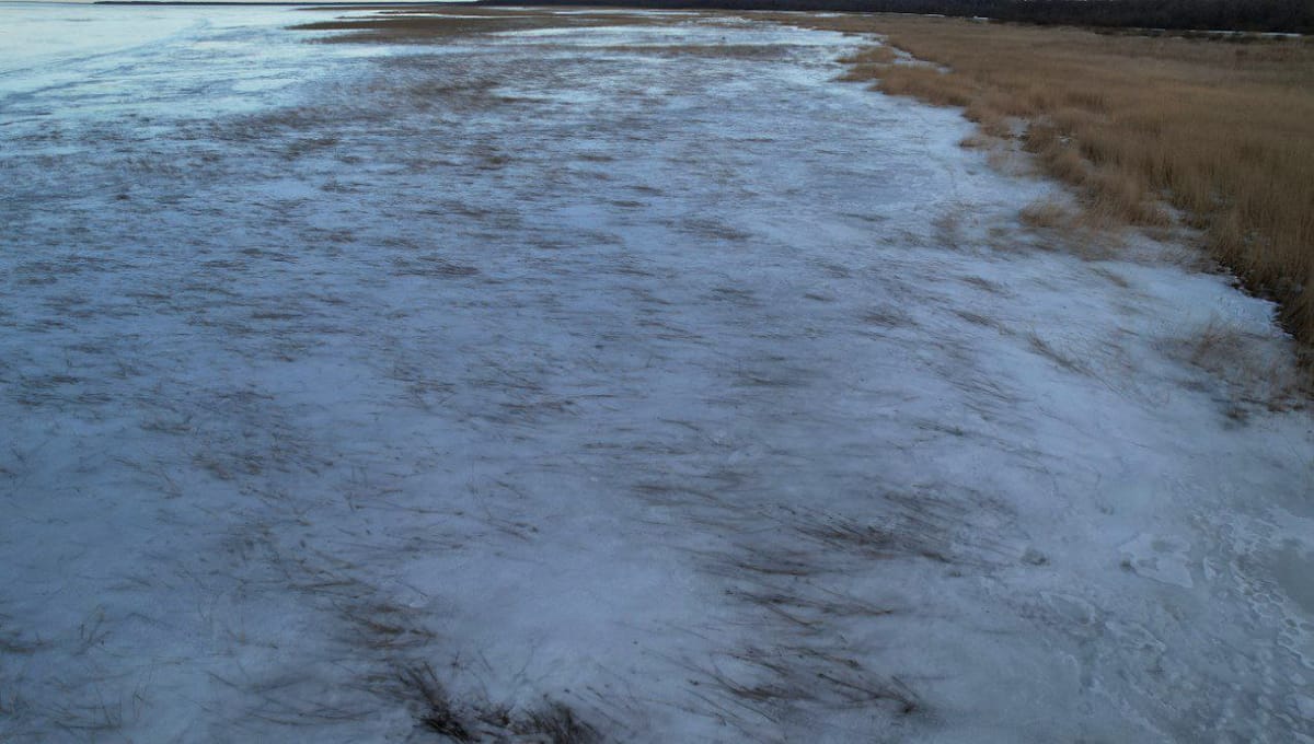 В камышах все стабильно, даже не начало таять🥶