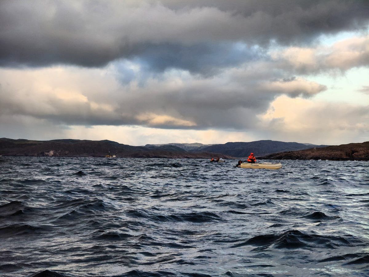 Неспокойно на воде🌊