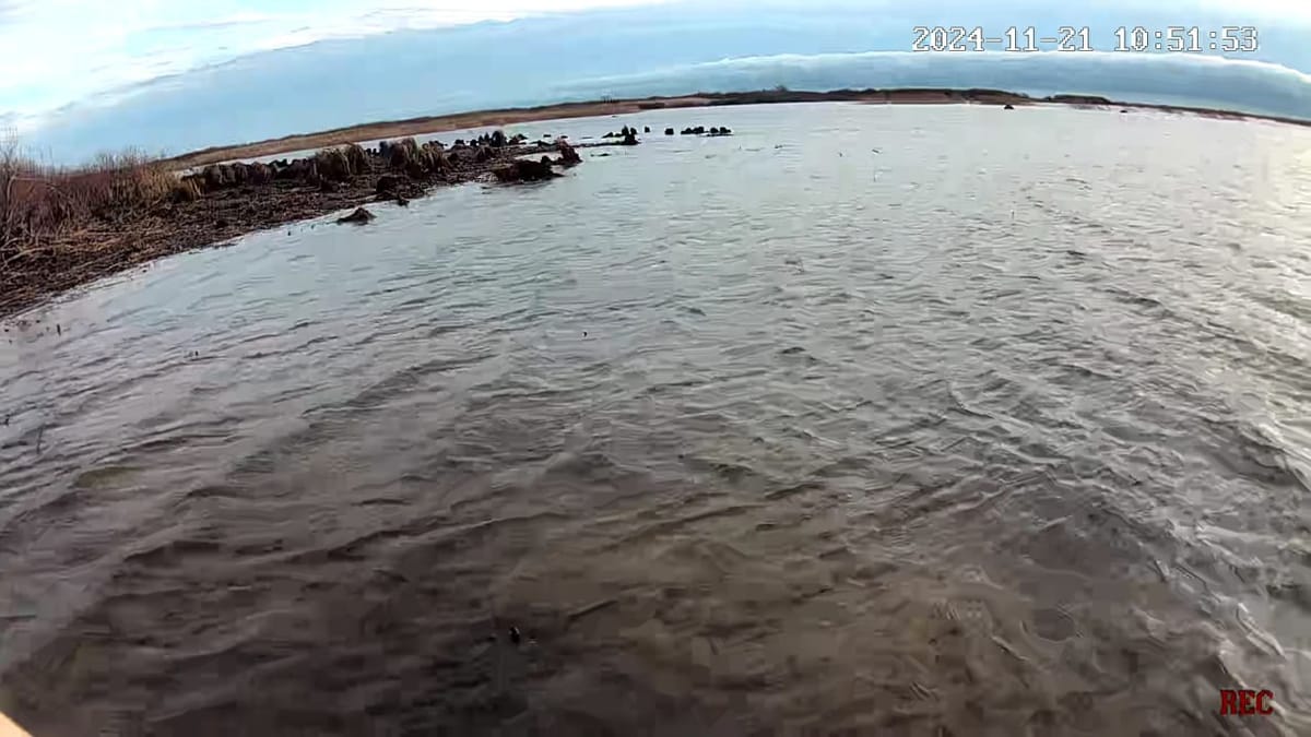 Вчера утром / сейчас утром, как видно мелкая вода в ладоге замерзла даже не с...
