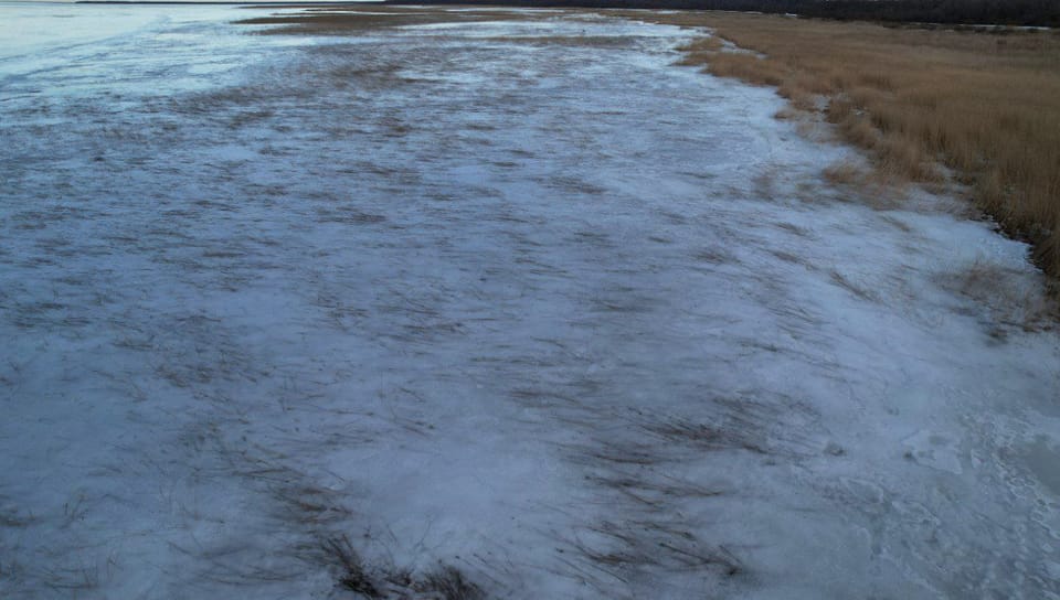 В камышах все стабильно, даже не начало таять🥶