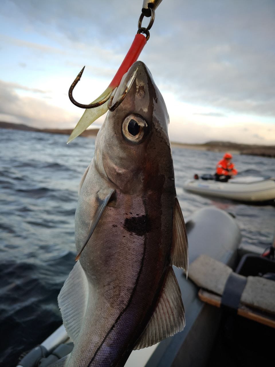 Продолжаю морскую рыбалку 🎣