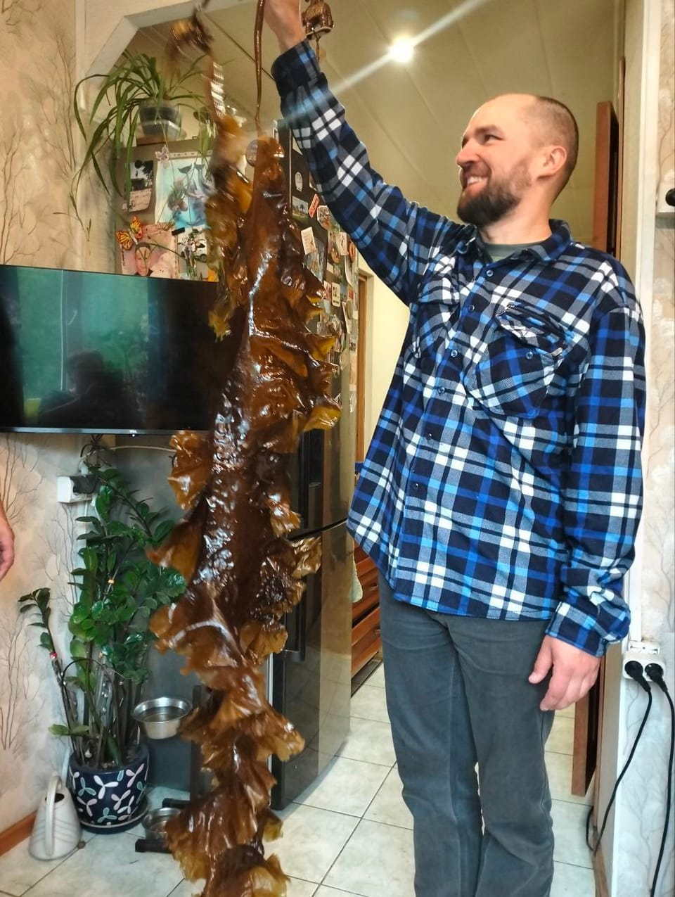 Что делать со свежей ламинарией ? 🤔