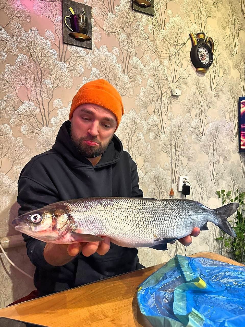 Ладожская селёдка 🐟