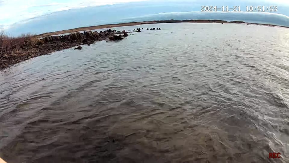 Вчера утром / сейчас утром, как видно мелкая вода в ладоге замерзла даже не с...