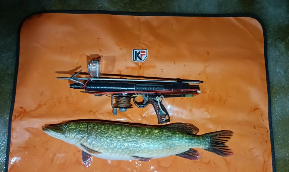 Щукарик 🐋