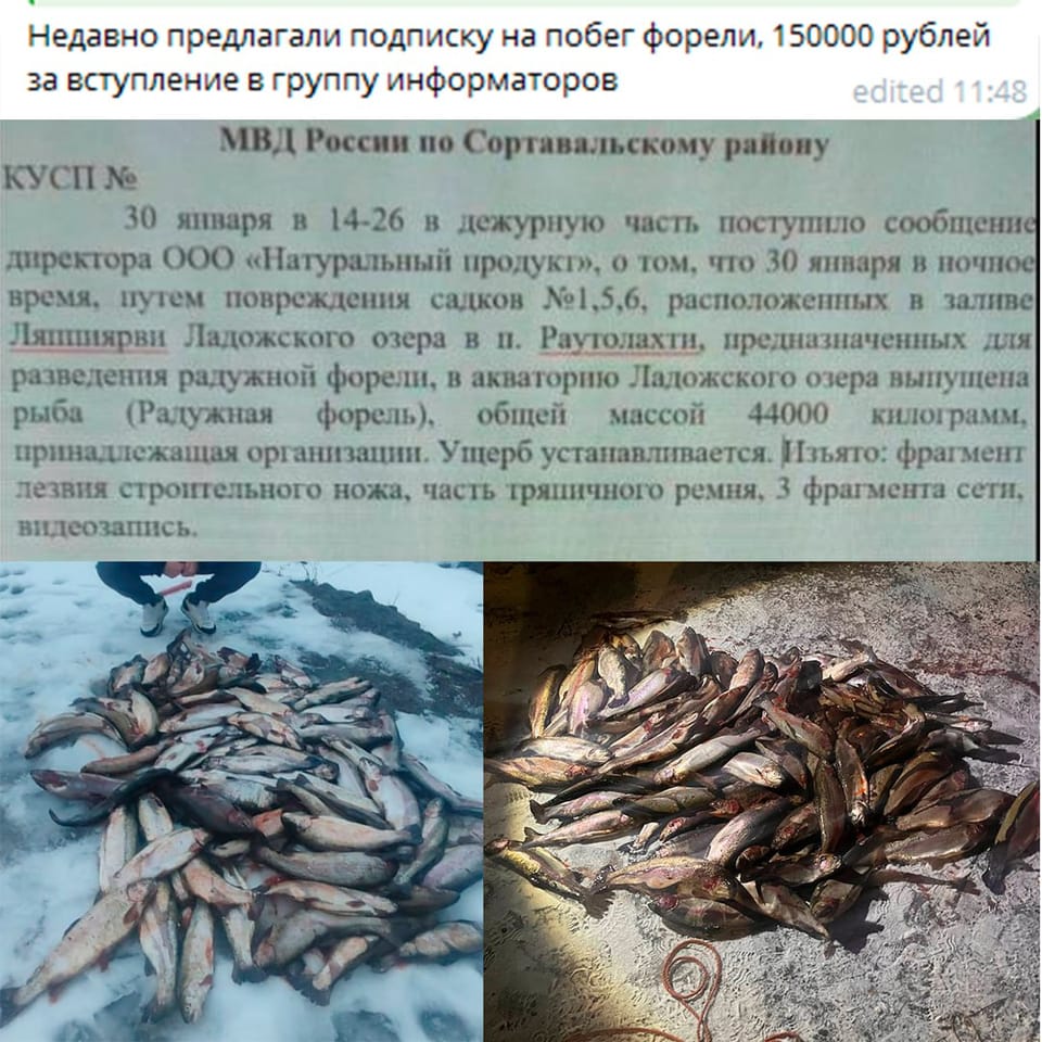 Бизнес по-русски, создаем чат с ценой вступления в 150.000₽ и продаем "информ...
